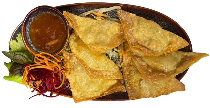 Wantan Chien (5 Stk.)