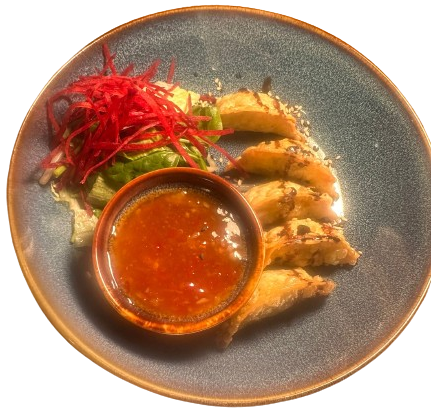 GYOZA (5 Stk.)